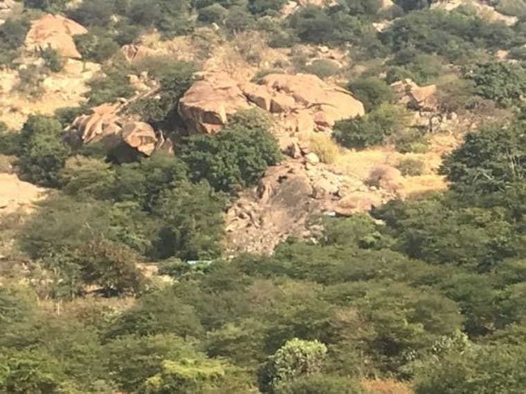 Daroji Sloth Bear Sanctuary-3